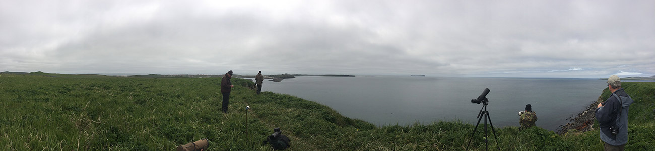 photographers on St. Paul island