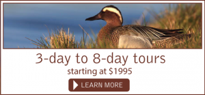 St. Paul Island, Alaska | Remote. Wild. Unbelievable